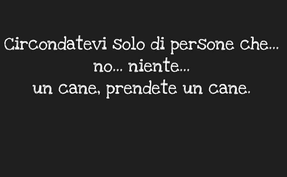 Circondatevi Solo Di Persone Chenonienteun Cane