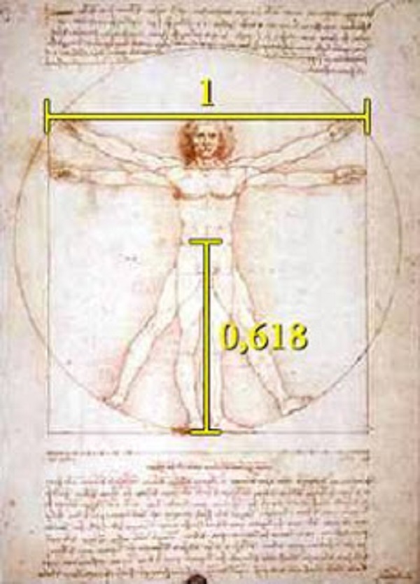 fibonacci leonardo