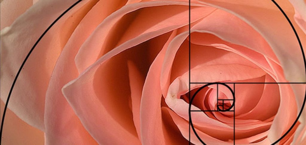 fibonacci sezione aurea spirale