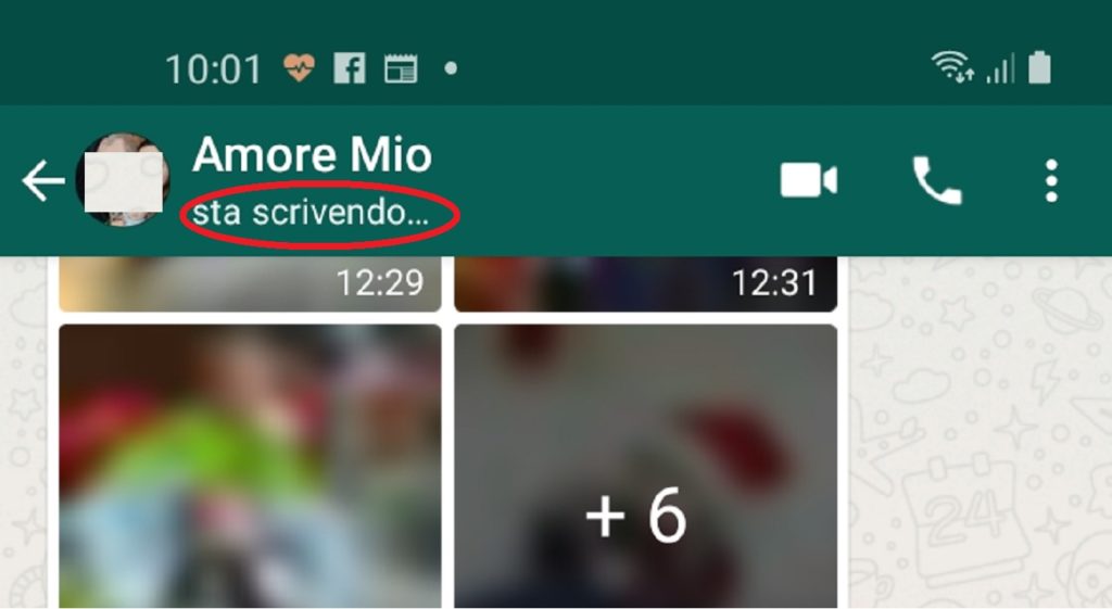 WhatsApp sta scrivendo