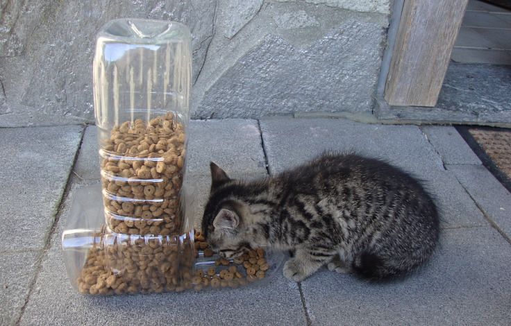 Mangiatoia per cani e gatti fai da te con bottiglie di plastica