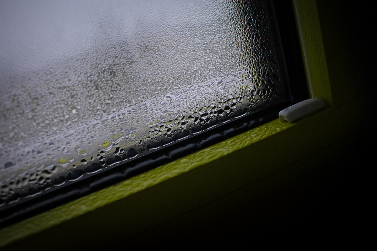 Umidità sul telaio della finestra